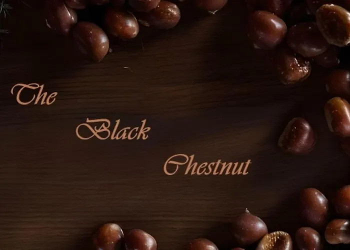 The Black Chestnut