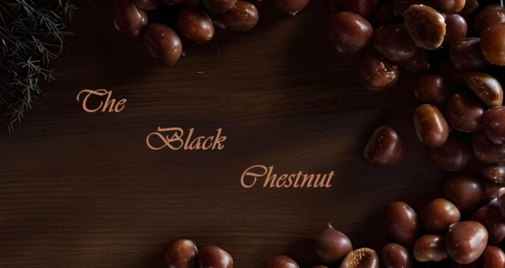 Holiday home The Black Chestnut